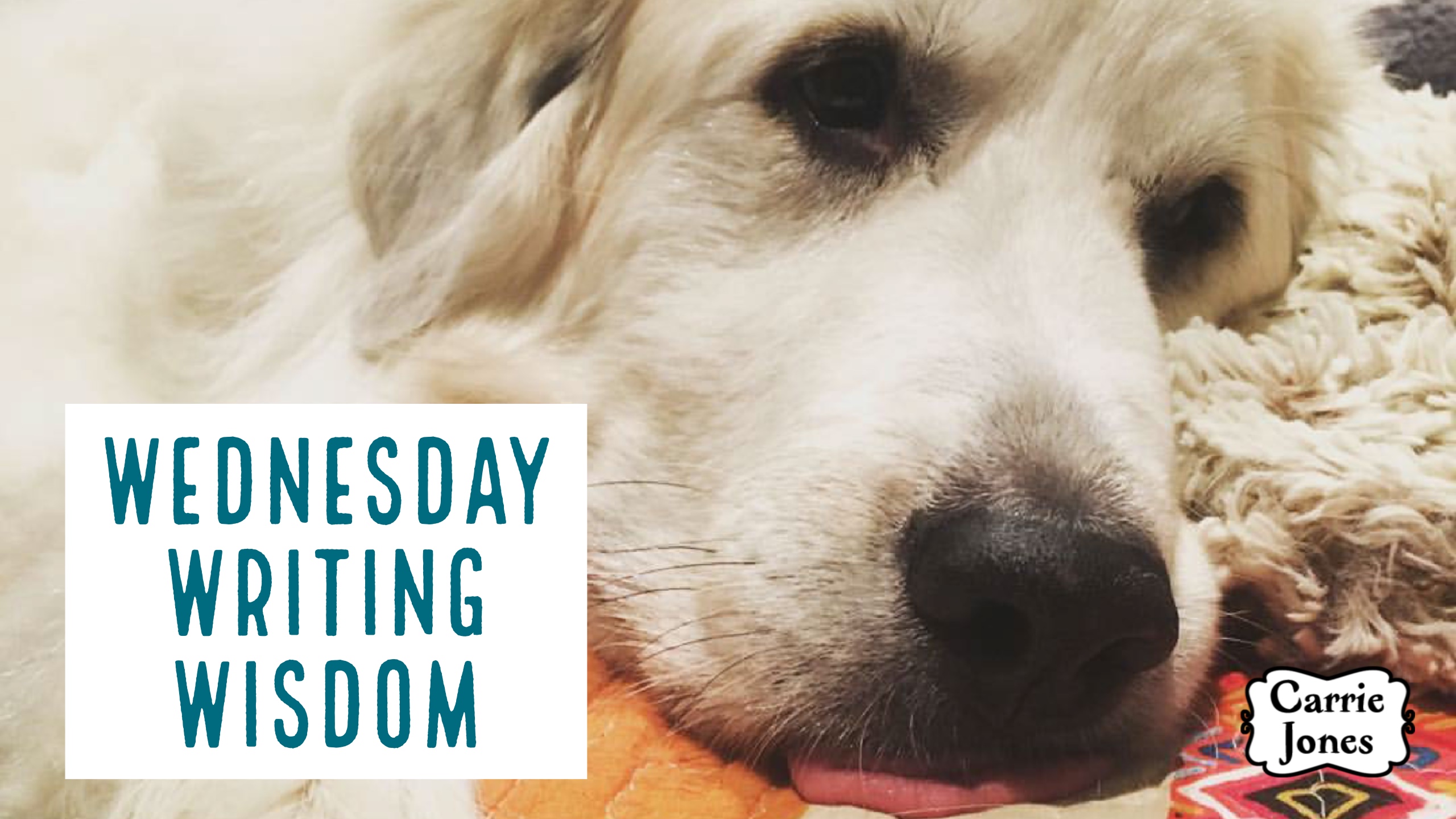 Writing tips and help from NYT bestselling author Carrie Jones carriejonesbooks.blog