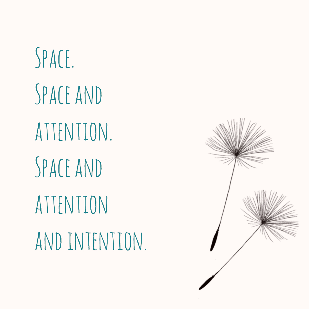 Dogs are Smarter Than People