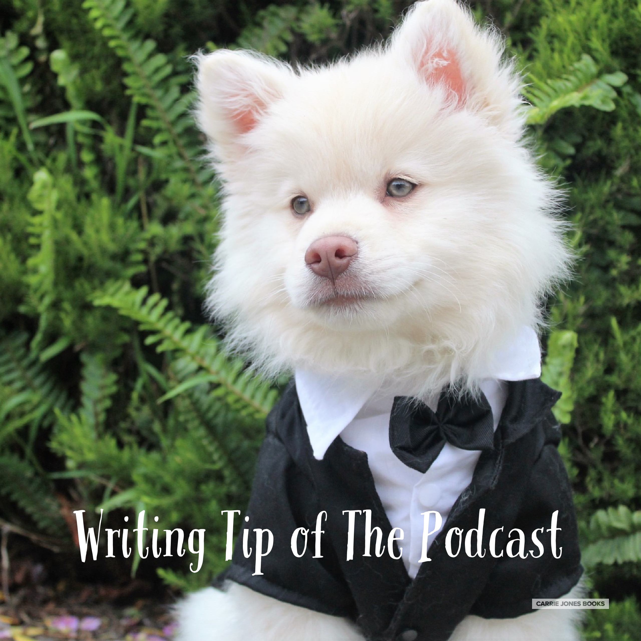 Writing Tip of the Podcast