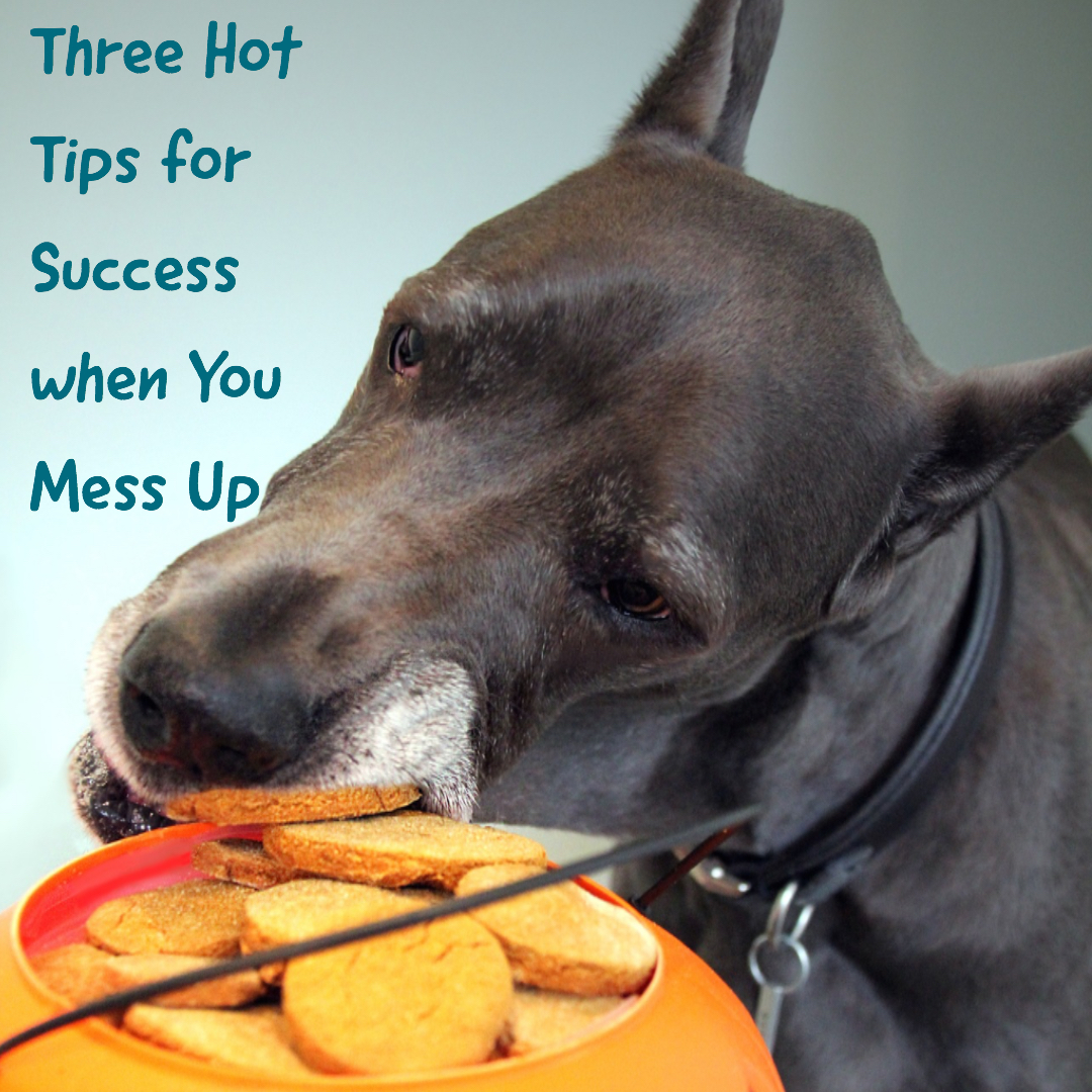 Three hot tips for success when you mess up