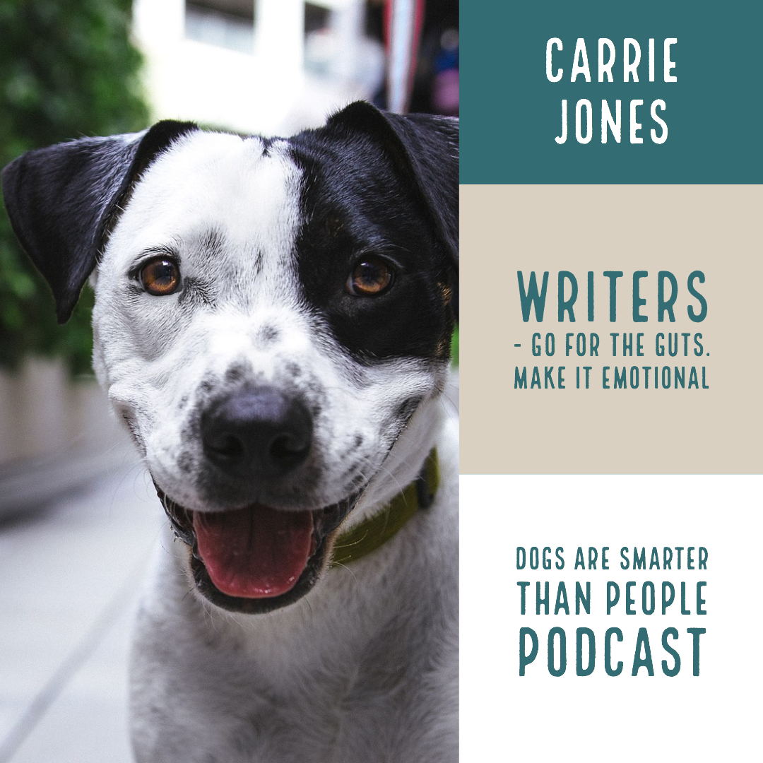 Dogs are Smarter Than People