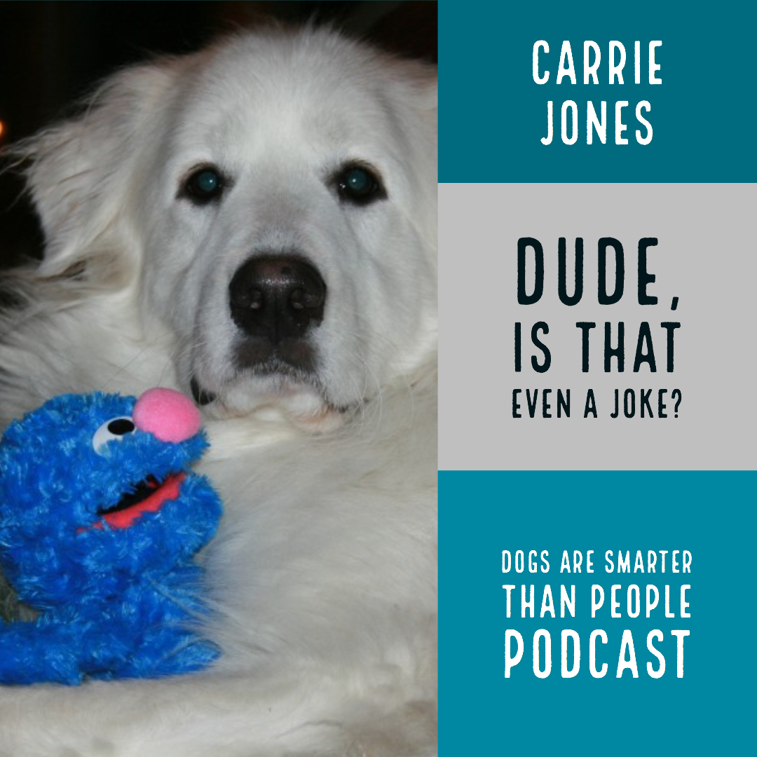 Dogs are Smarter Than People