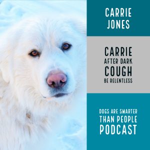 dogs are smarter than people carrie after dark being relentless to get published