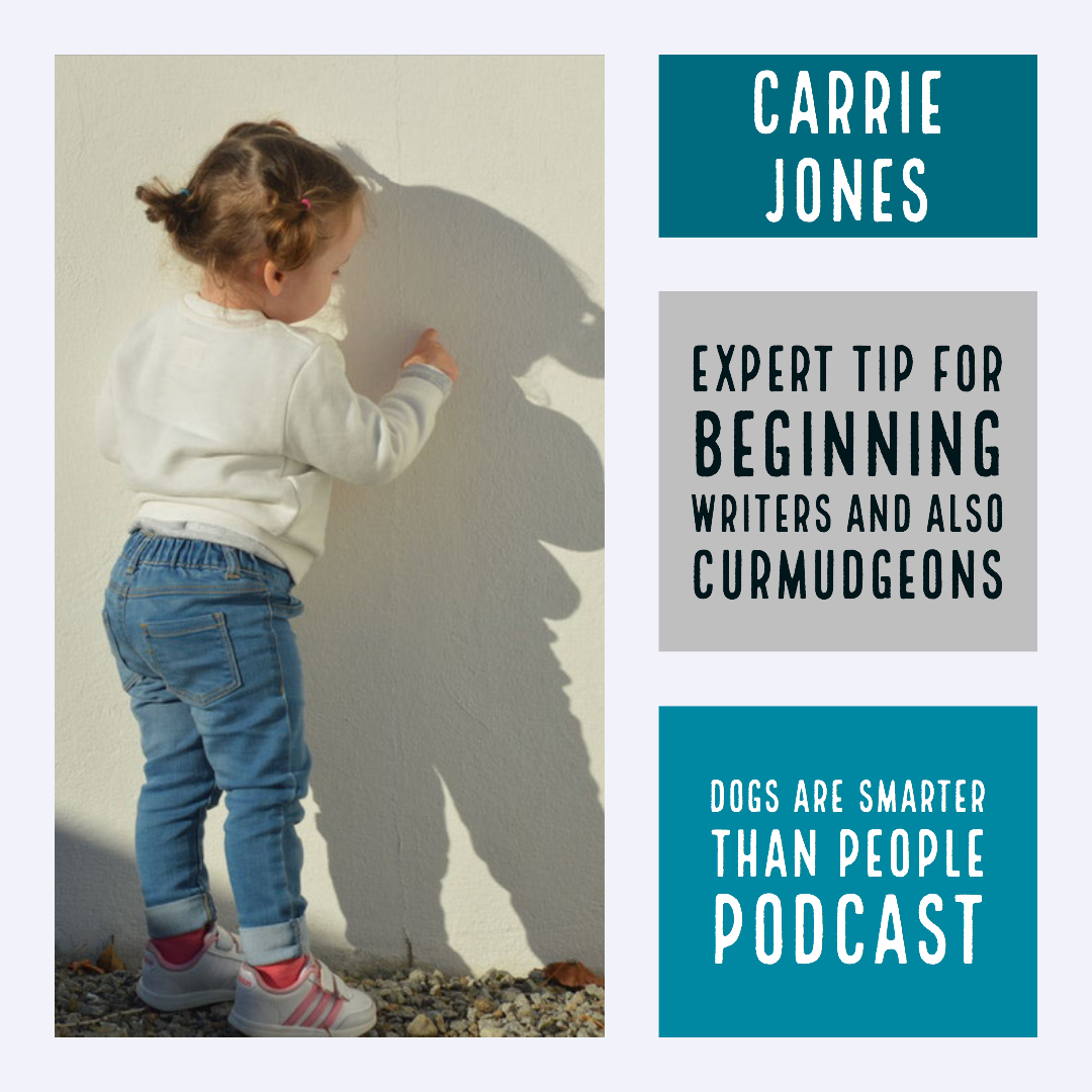 Expert Tip For Beginning Writers DOGS ARE SMARTER THAN PEOPLE WRITING PODCAST