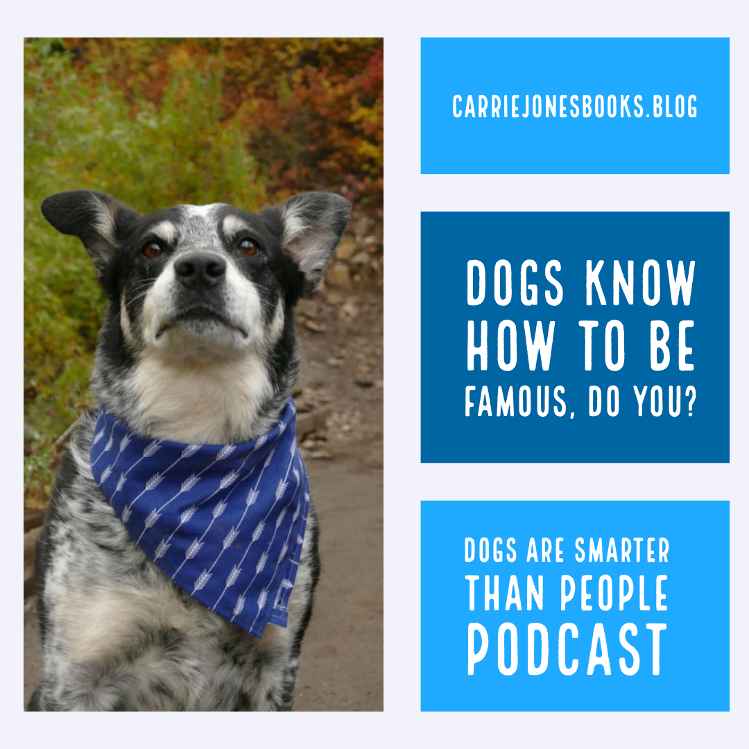 Dogs Know How to Be Famous, Do You? How to handle being popular