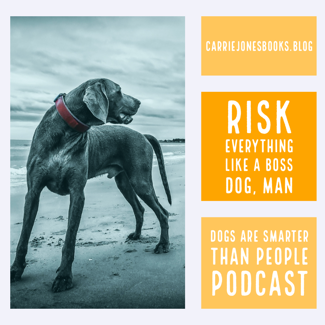 risk everything like a boss dog