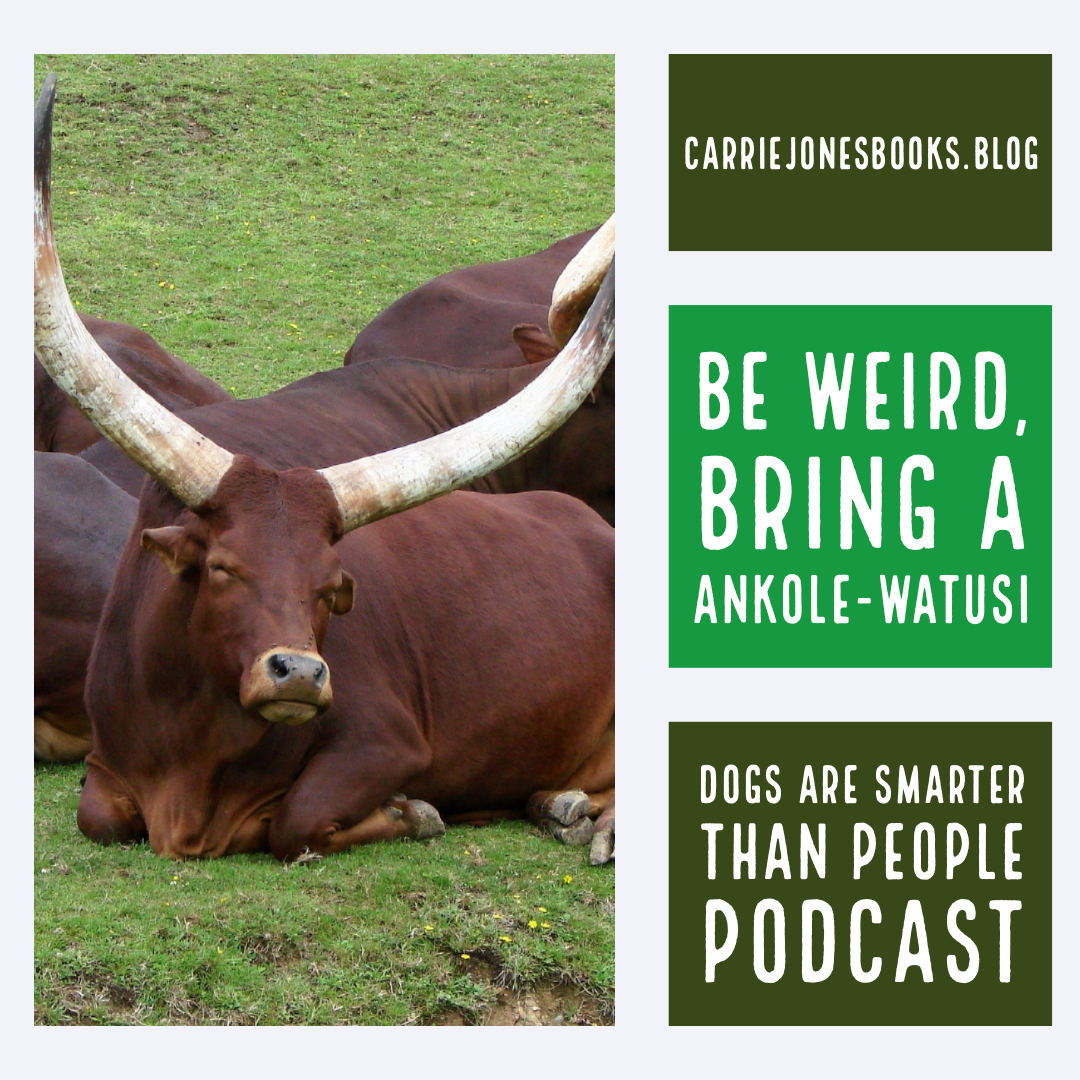 Be weird. Watusi. Podcast
