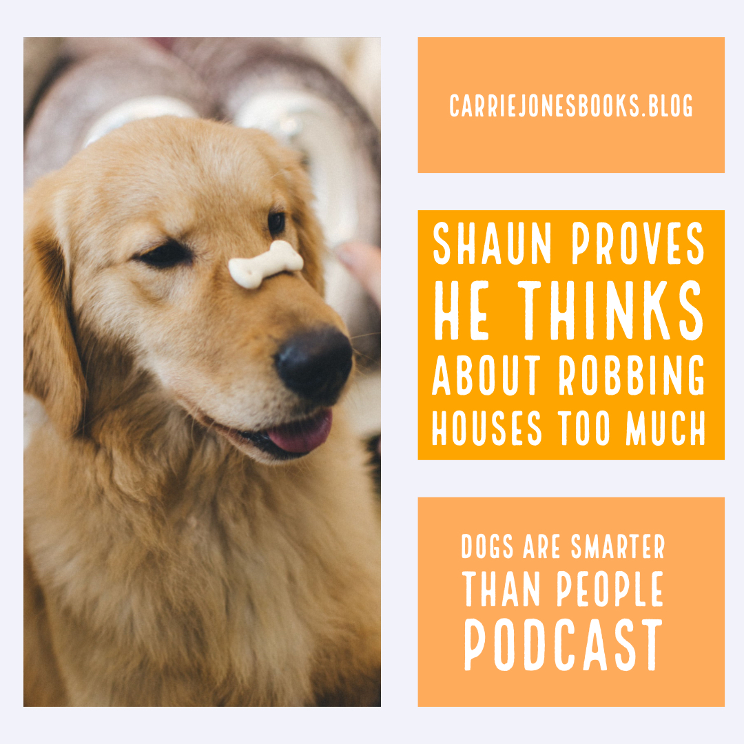 Shaun Proves He Thinks About Robbing Houses Too Much in the lastes Writing Podcast Episode of Dogs are Smarter Than People