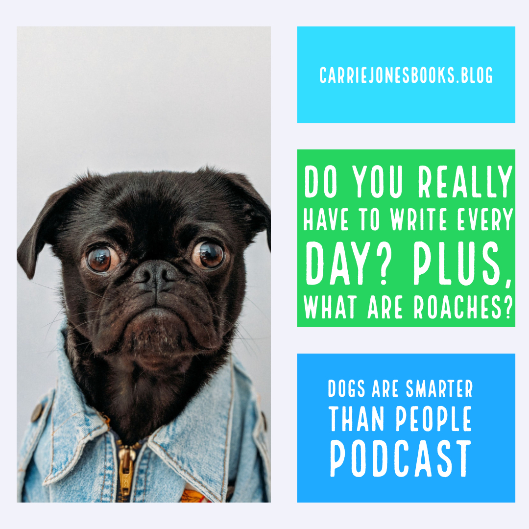 Do you have to write every day?