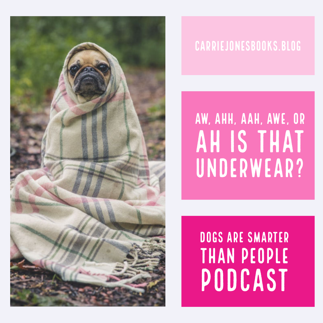 Aw, Ah, Aah, Awe, or Ah is that Underwear? Dogs are Smarter than People, the writing podcast for weird, quirky writers and other humans.