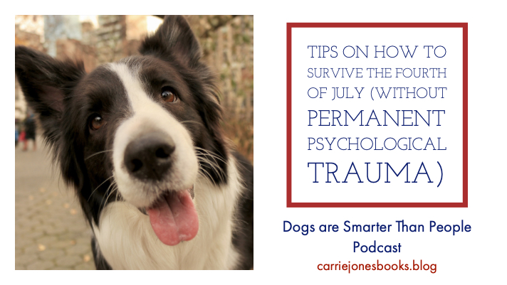 Tips on How to Survive The Fourth of July (without permanent psychological trauma)