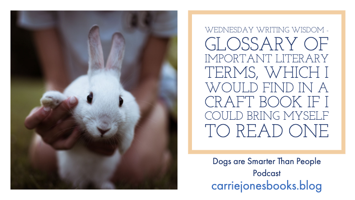 GLOSSARY OF IMPORTANT LITERARY TERMS, WHICH I WOULD FIND IN A CRAFT BOOK IF I COULD BRING MYSELF TO READ ONE