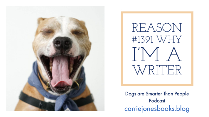 Reason #1391 Why I'm a Writer