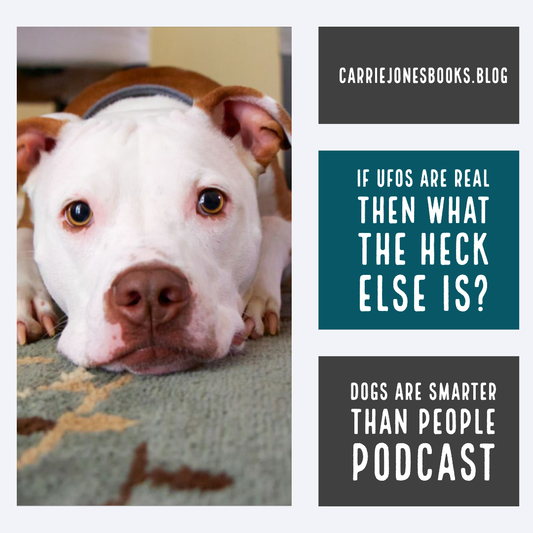 If UFOs Are Real Then What the Heck Else Is, Dogs are Smarter Than People podcast