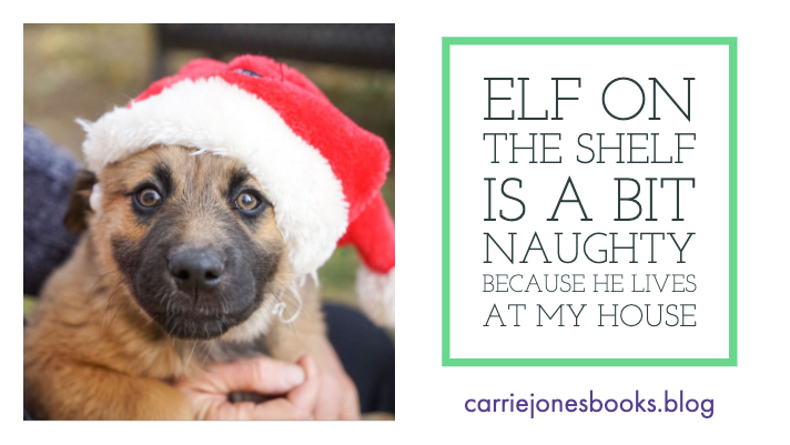 Elf on the Shelf is a bit Naughty Because He Lives at My House