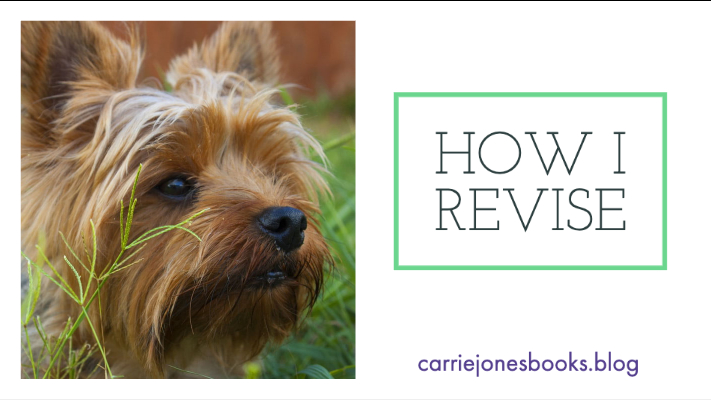 how I revise