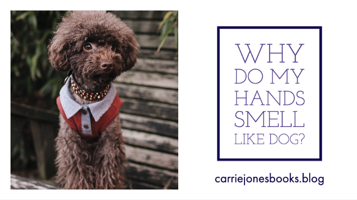 Carrie Jones best maine writers