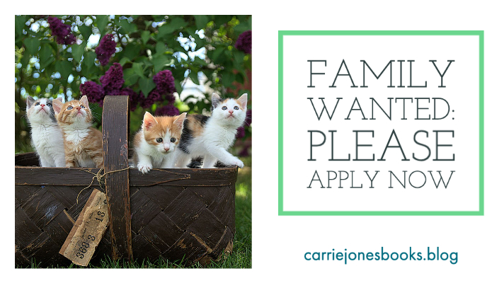 best writing coaches Carrie Jones