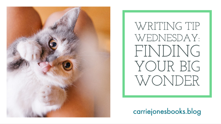 best ya authors who are writing coaches