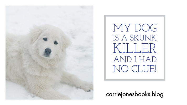 Dog kills skunk