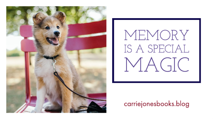 best writing coaches for kidlit