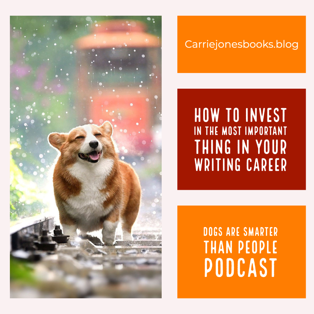 best novel editors and writing coaches