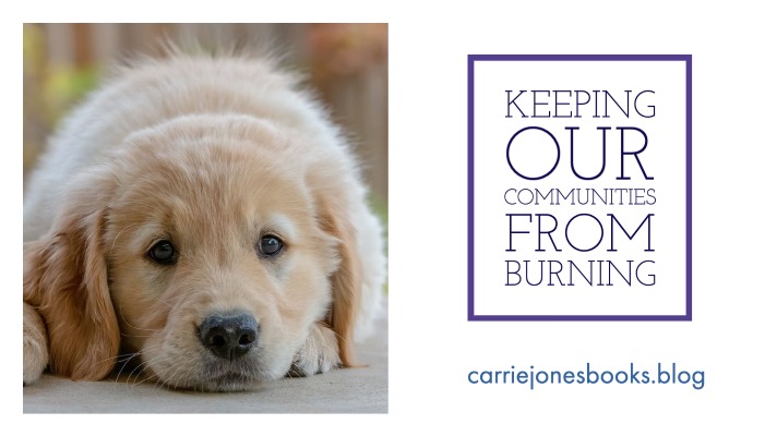 Best writing coaches and editors Carrie Jones