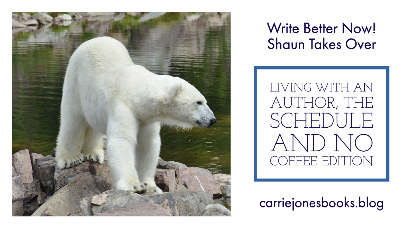 best writing coaches carrie jones