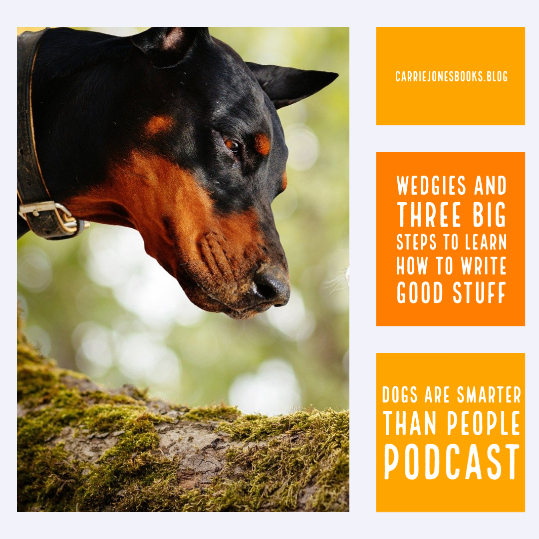 best writing coaches carrie jones