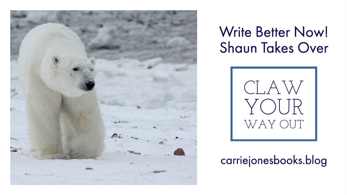 best writing coaches Carrie Jones