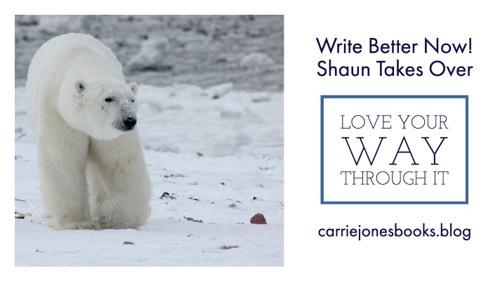 best writing coaches