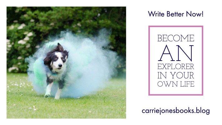 best writing coaches
