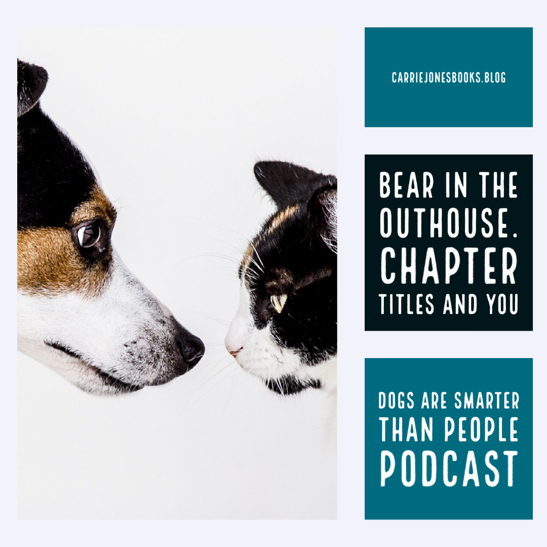 Bear in the Outhouse. Chapter Titles and You