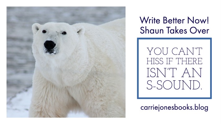 best writing coach Carrie Jones