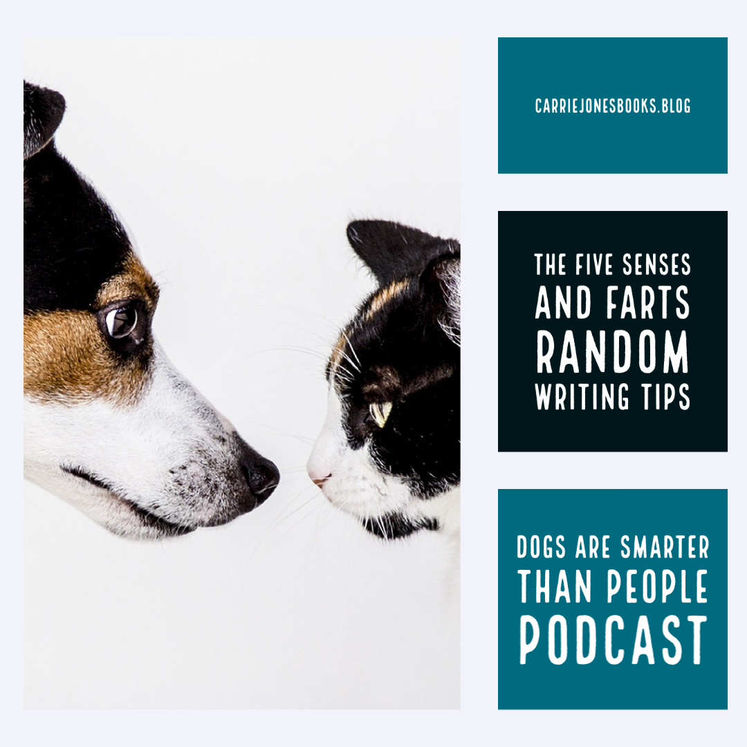 best writing podcasts