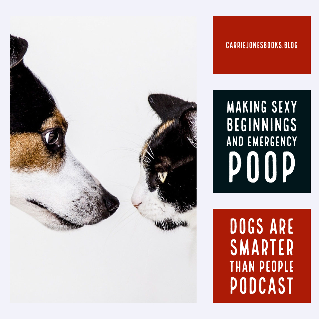best writing podcasts