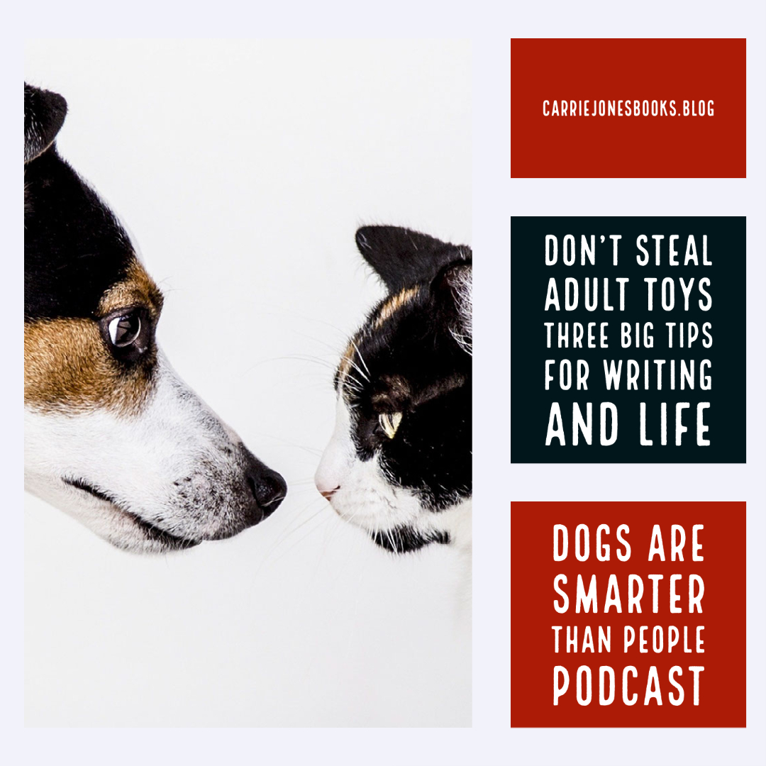 best writers best writing coaches Carrie Jones