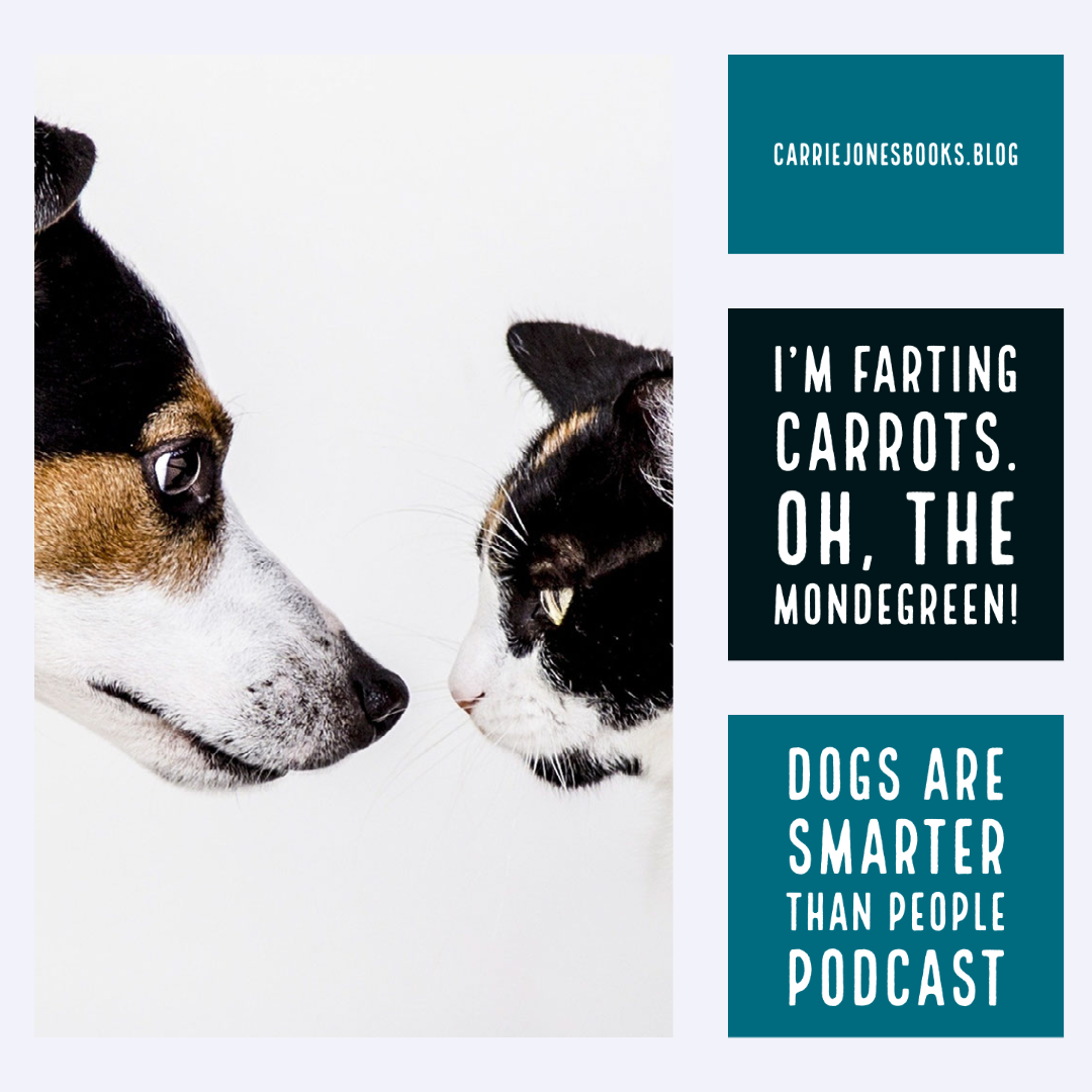 best writing podcasts