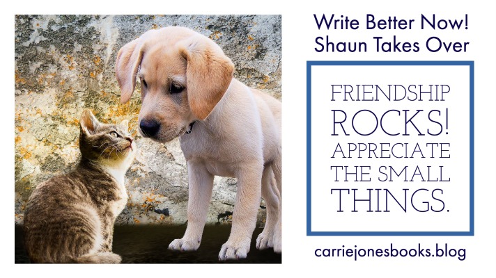 best writing coaches