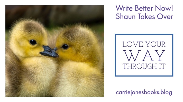 best writing coaches carrie jones