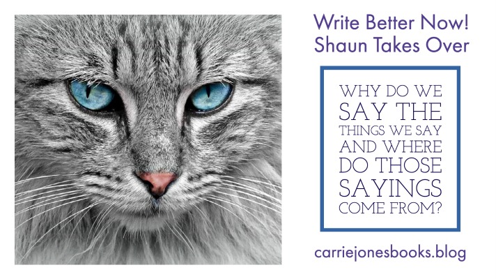 best writing coaches carrie jones