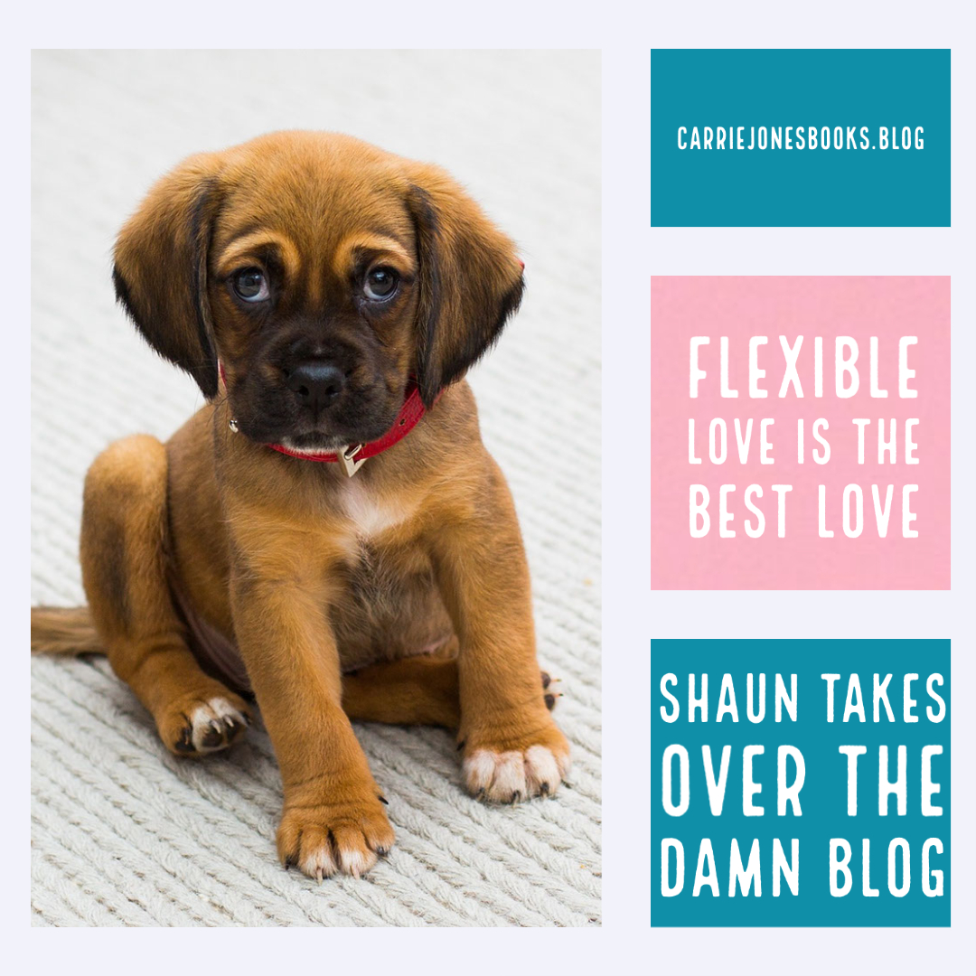 best writing coach best writers carrie jones