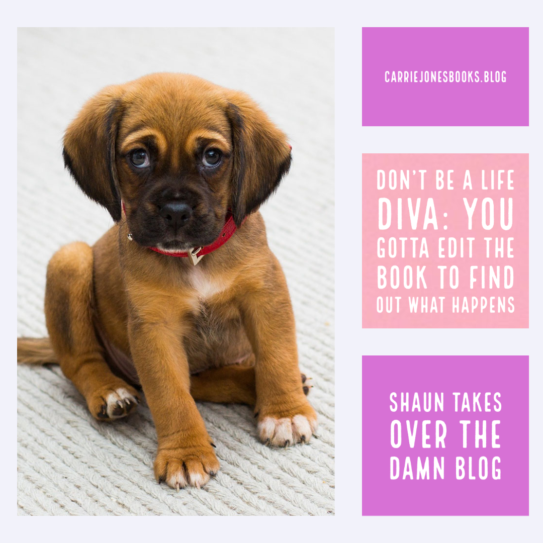 BEst Ya authors and podcasters