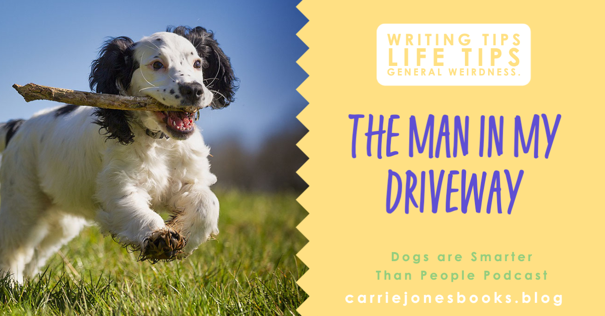 best writing coaches Carrie Jones