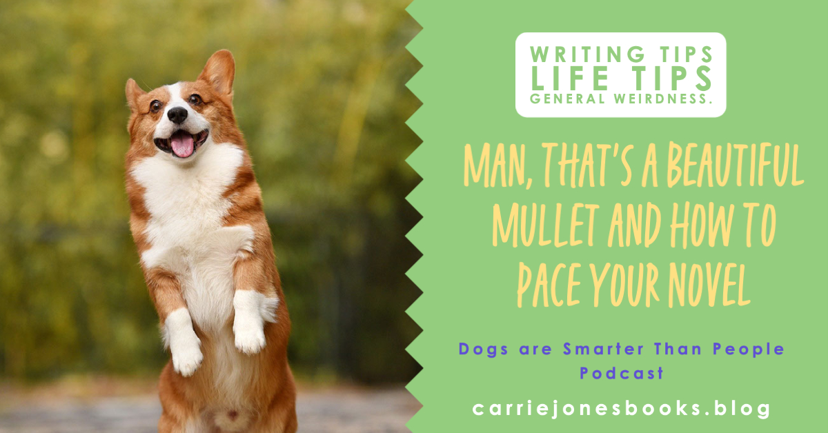 best writing coaches Carrie Jones