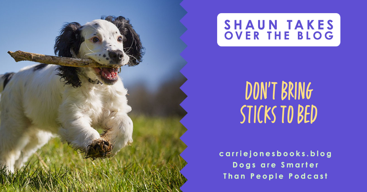 best writing coach carrie jones