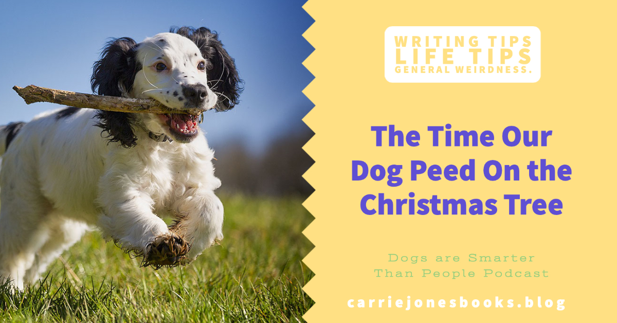 best writing coach Carrie jones