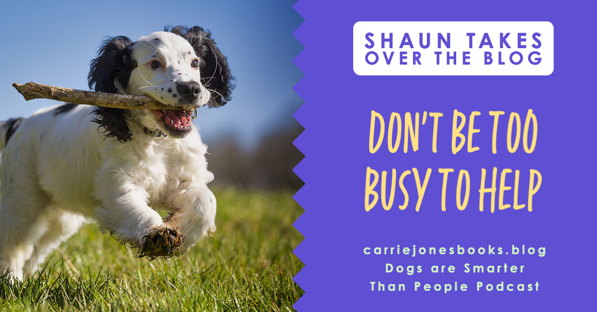 best writing coach Carrie Jones