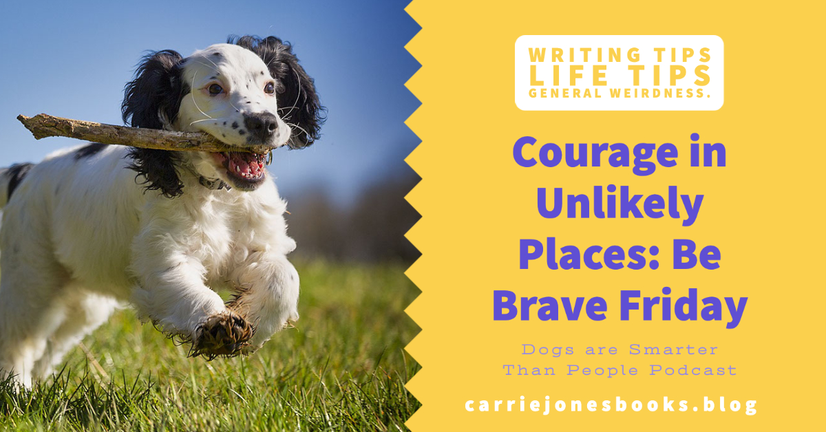 best writing coach Carrie Jones