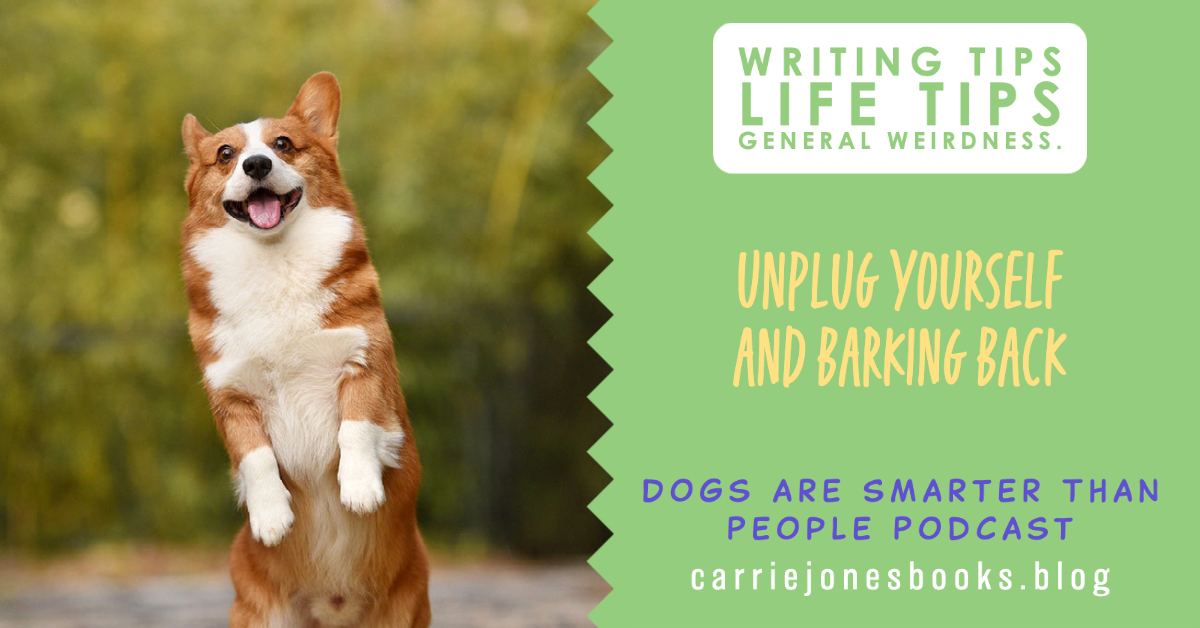 best quirky podcast Dogs are smarter than people